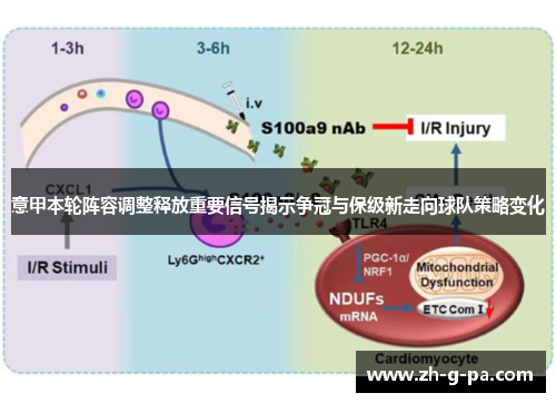 意甲本轮阵容调整释放重要信号揭示争冠与保级新走向球队策略变化 意甲本轮阵容调整释放重要信号揭示争冠与保级新走向球队策略变化